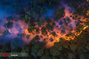 آتش سوزی مهیب و گسترده در جنگل های سیبری/تصاویر