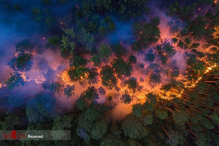 آتش سوزی مهیب و گسترده در جنگل های سیبری/تصاویر