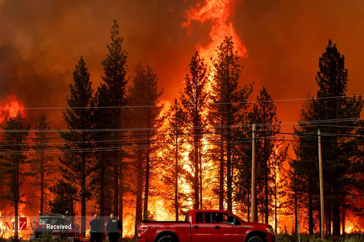 آتش سوزی گسترده و مهیب در جنگل های کالیفرنیا زیر سایه کرونا/تصاویر