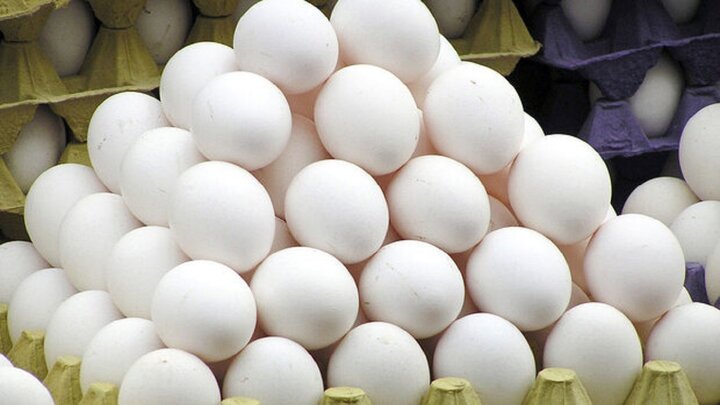 کاهش ۲ هزار و ۵۰۰ تومانی قیمت تخم مرغ