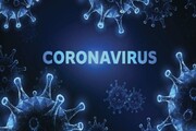 ویروس کرونا از ۷۰ سال قبل وجود داشته است!