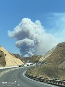 آتش‌سوزی در جنگل‌های جنوب کالیفرنیا زیر سایه کرونا/تصاویر