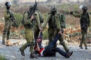دستگیری ۱۲ فلسطینی توسط نظامیان صهیونیست
