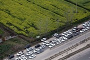 آخرین وضعیت جاده های کشور/ترافیک سنگین در جاده چالوس