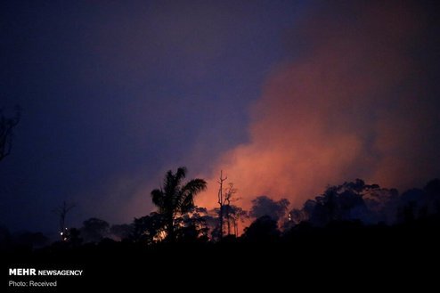 تصاویری از آتش سوزی گسترده در جنگل‌های آمازون