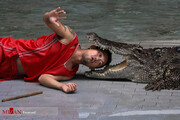 مزرعه تمساح‌ها در تایلند به روایت تصویر