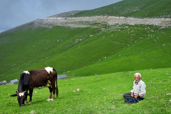 مجموعه تصاویر ایران