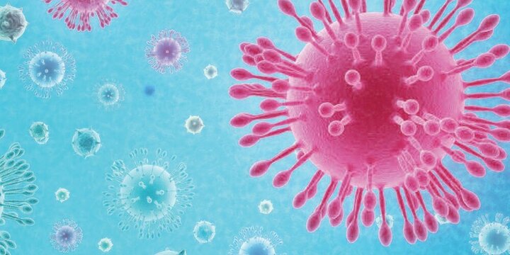 مدت زمان پاک شدن بدن بیمار از کروناویروس چقدر است؟