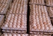تخم مرغ باز هم گران شد/ هرشانه ۳۳ هزار تومان