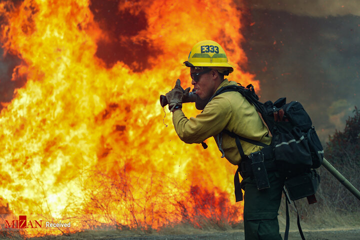 آتش عظیمی که جنگل های کالیفرنیا را رها نمی کند!/تصاویر