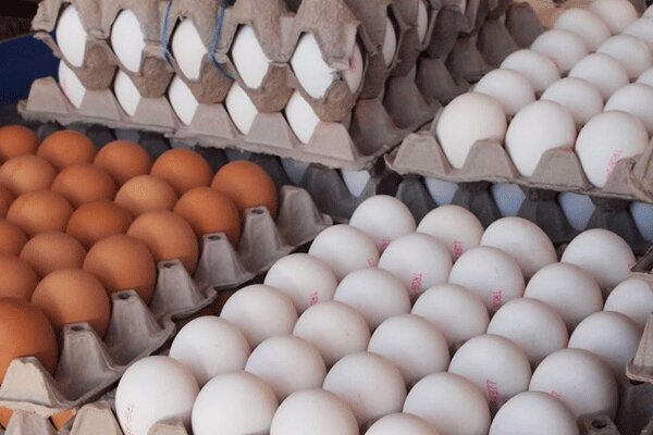 حمایت اتحادیه سوپرمارکت‌داران از نرخ جدید تخم مرغ
