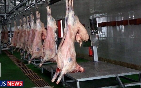 افزایش تولید گوشت قرمز در مرداد ماه