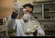جزئیات ساخت داروی موثر برای درمان کرونا در ایران