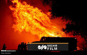 صحنه های تلخ و ناراحت کننده از آتش سوزی وحشتناک در کالیفرنیا + فیلم