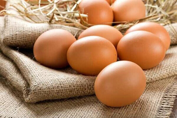 تخم‌مرغ شانه‌ای ۳۸ هزار تومان!