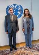 بهاروند با مدیرکل دفتر سازمان ملل دیدار کرد