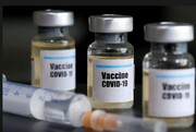 آلمان چند نوع واکسن کرونا تولید می کند