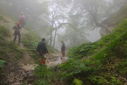 مثلث برمودا در کردکوی! / کوهنورد ۳۶ ساله مثل سها ناپدید شد