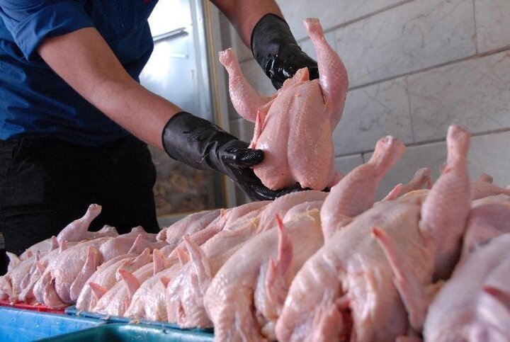 کاهش هزار تومانی قیمت مرغ در بازار 