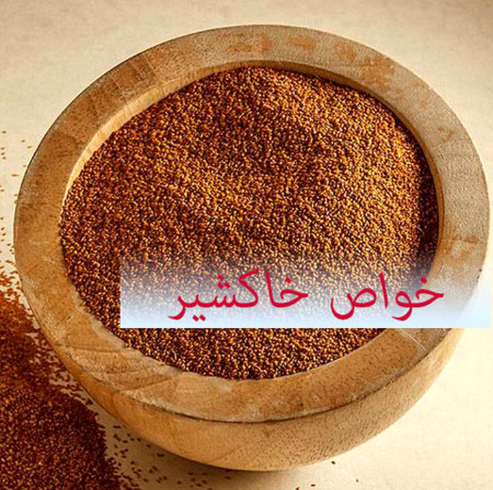 خواص خاکشیر و چگونگی مصرف + آموزش