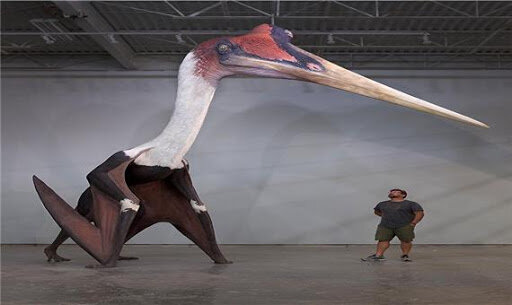 بزرگ‌ترین پرنده جهان چیست؟ + عکس