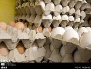علت اصلی گرانی تخم مرغ در بازار چیست؟