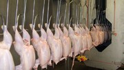 اعلام نرخ مصوب مرغ تا ۱۰ روز دیگر