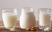 درمان استرس کرونا با نوشیدن شیر