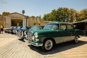 گزارش تصویری رالی خودروهای قدیمی در شیراز + عکس