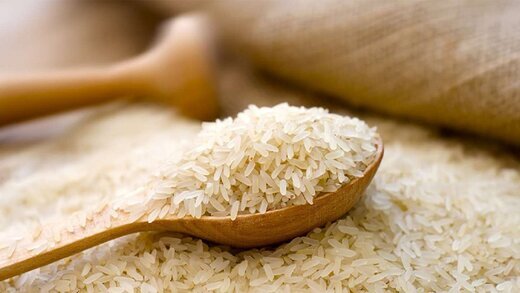 قیمت انواع برنج وارداتی و داخلی در بازار 