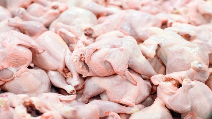 افزایش قیمت مرغ به ۲۱ هزار تومان