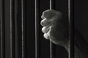 یک ایرانی به دو سال زندان در آمریکا محکوم شد
