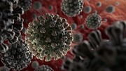 کشف مهم دانشمندان درباره ویروس کرونا/ امید به ایجاد دارویی موثر بیشتر شد