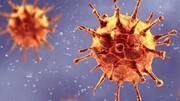 دانشمندان نقطه ضعف ویروس کرونا را کشف کردند