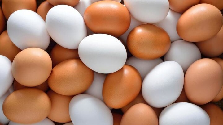 قیمت روز تخم مرغ در شنبه ۱۰ آبان ماه ۹۹ + جدول
