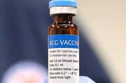 کشف واکسنی که از افراد مسن در برابر کرونا محافظت می کند