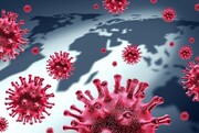 احتمال آلودگی انسان به ۸۵۰ هزار ویروس ناشناخته!