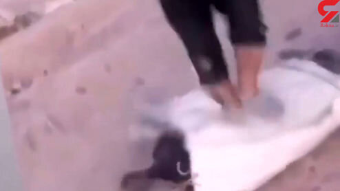 شکنجه وحشیانه یک خر در خوزستان +فیلم