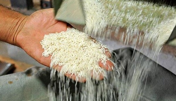 برنج کیلویی چند؟