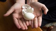 پوست کندن تخم مرغ سریع و راحت + آموزش