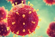 واقعیت های مهم درباره ویروس کرونا