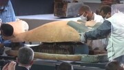 کشف چهل جسد مومیایی شده در مصر + فیلم
