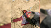 کشف جسد خورده شده یک زن توسط حیوان وحشی در شیراز / عکس