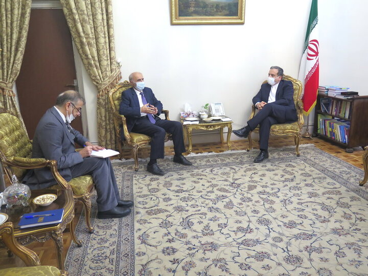 سفیر ارمنستان در ایران با عراقچی دیدار کرد