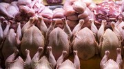 توزیع مرغ ۱۵۰۰۰ و ۱۸۵۰۰ تومانی در تهران