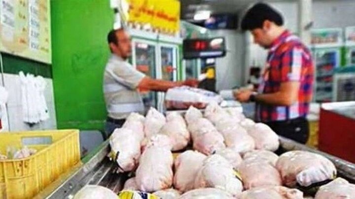 تعزیرات: مرغ را بیشتر از این قیمت نخرید