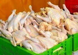 وعده وزارت صمت درباره قیمت مرغ