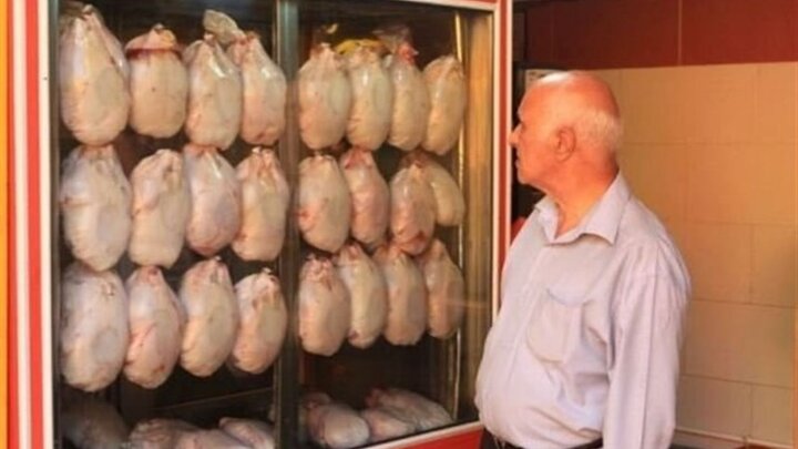 خرید مرغ توسط مردم به شدت کاهش یافت
