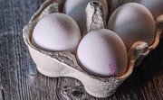 فروش تخم مرغ در تهران شانه‌ای ۳۸ هزار تومان!