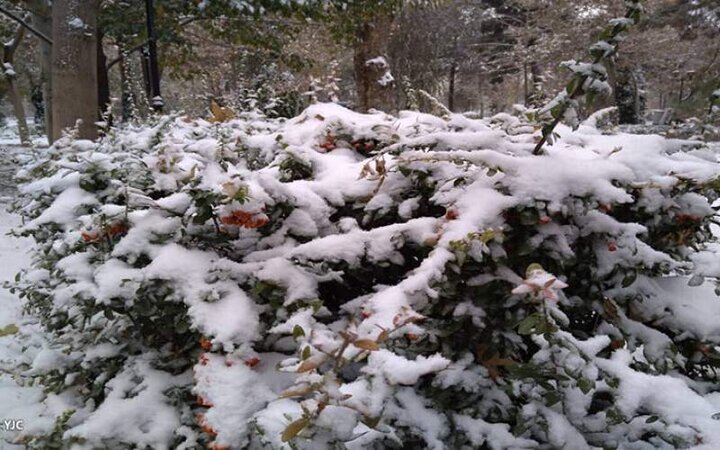 وقوع کولاک شدید و برف در استان تهران